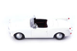 Auto Union DKW Michaux Spider (Belgium 1954) 1:43