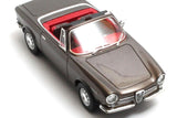Alfa Romeo Giulia GT Spider Prototipo (105.03#00002) 1963 - brown met. 1:43