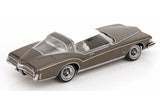 Buick Riviera (1973) - greymetallic/white 1:18
