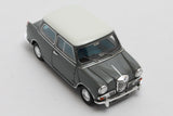 Mini Riley Elf MKII 1963 - grey 1:43