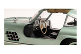 Mercedes 300 SL (W198) 1955 –  light green metallic 1:18
