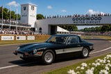 TVR 3000M (1972-1976) - black 1:18